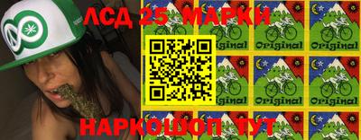 spice Гатчина