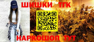 spice Гатчина