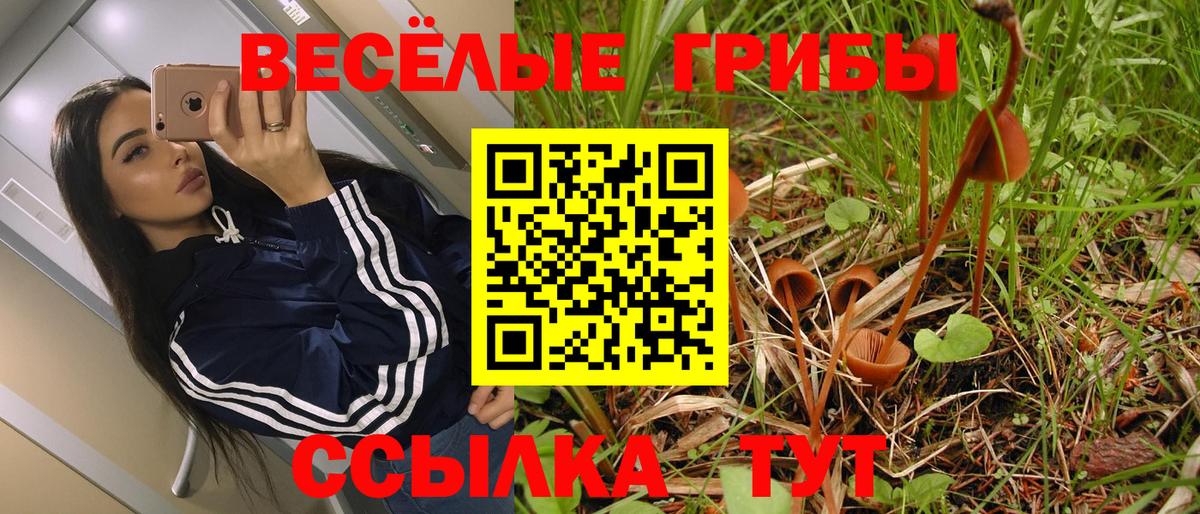 Галлюциногенные грибы мицелий Киселёвск