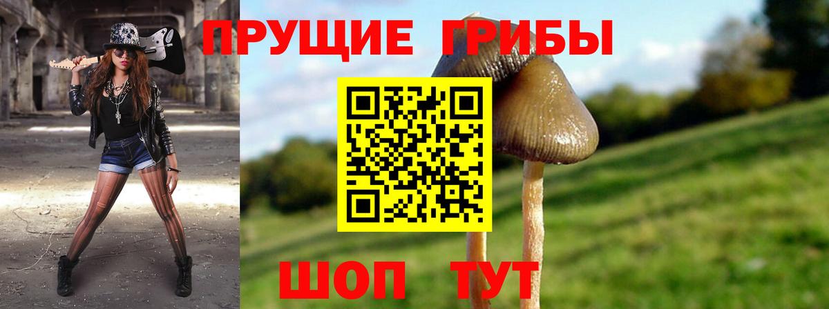Галлюциногенные грибы Psilocybine cubensis  Вход с VPN  Киселёвск 